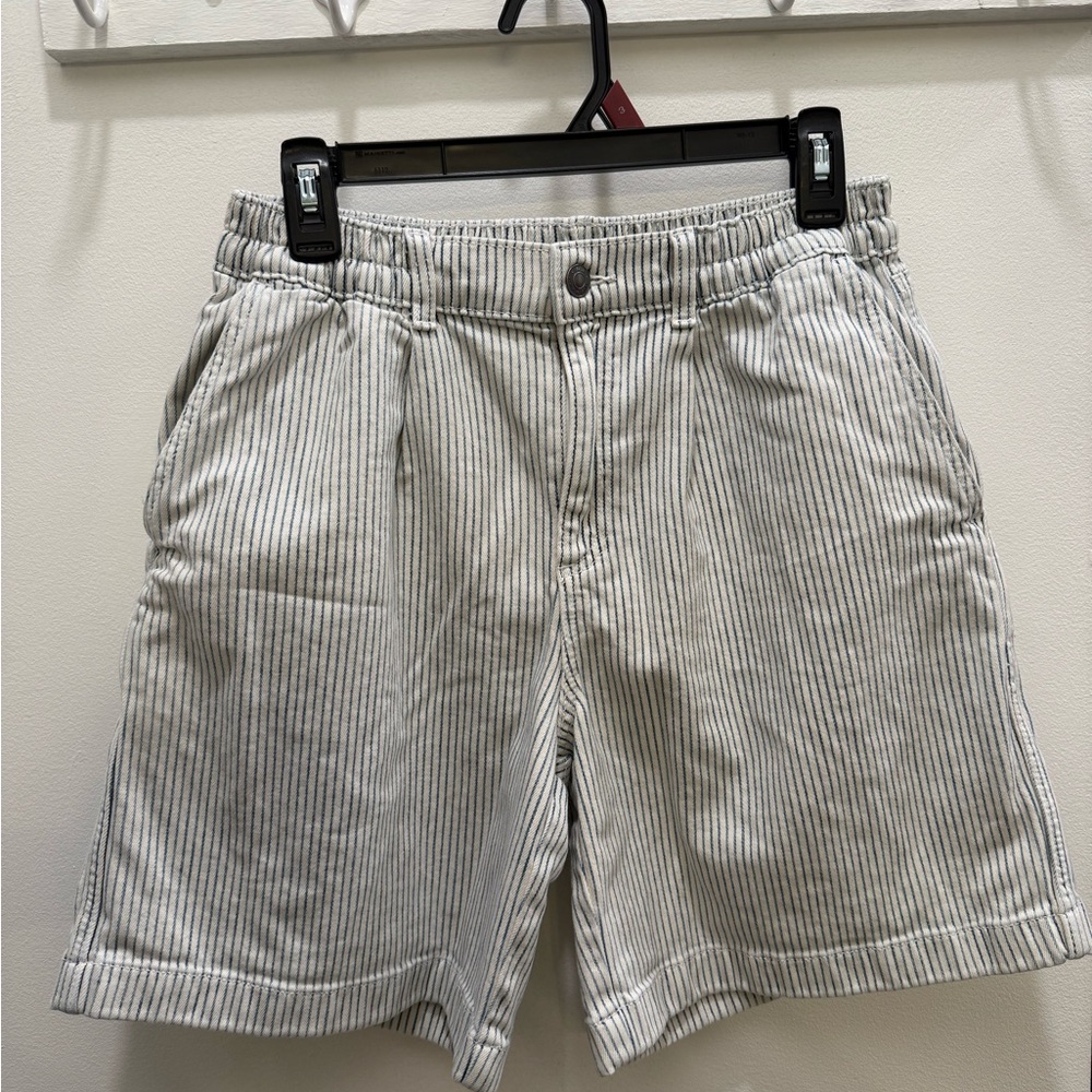 Aerie White and Blue High Waist Shorts Striped